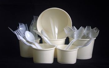 PLASTIC UTENSILS