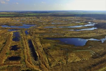 Peat Bog rewetting Risley Moss Warrington 1