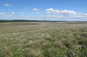 Peatland_-_Butterburn_flow.jpg