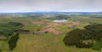 Peatland restoration - forest to bog 1