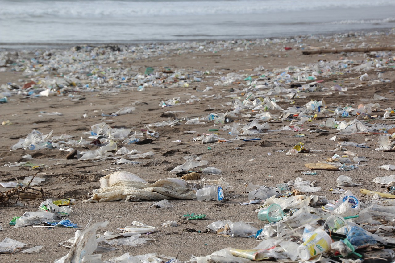 Plastic waste on beach