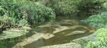 RIVER - ANGLIAN WATER REGION