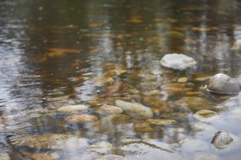 RIVER CLEAR WATER RIVERBED