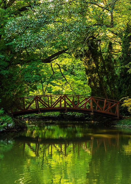 RIVER ITCHEN