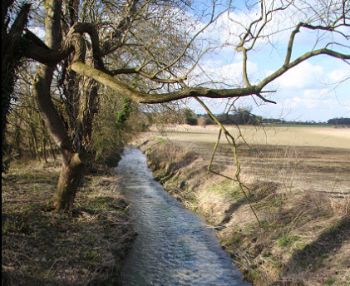 RIVER KENNETT CAMBS