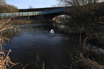 RIVER_Kennet_Mouth_1.jpg
