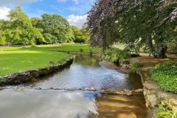 RIVER LANDSCAPE TREES FOOTPATH 1