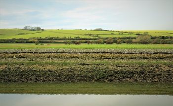 RIVER OUSE 