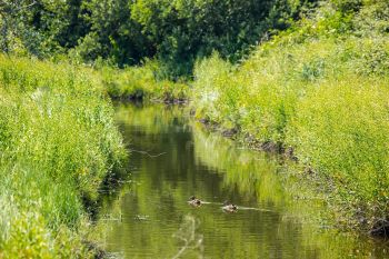 RIVER TEST