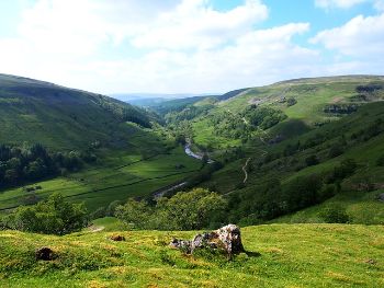 RIVER VALLEY 1