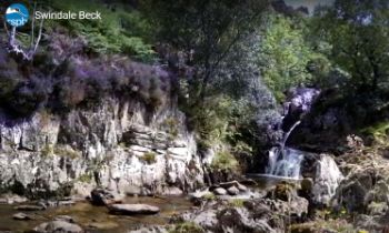 RSPB SWINDALE BECK