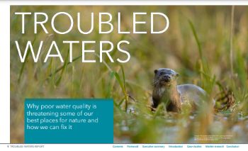 RSPB_TROUBLED_WATERS_REPORT_SEPT_21.jpg