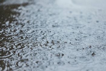 Raindrops in puddle