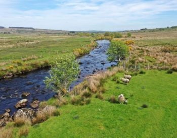 River Derg - Ireland 1