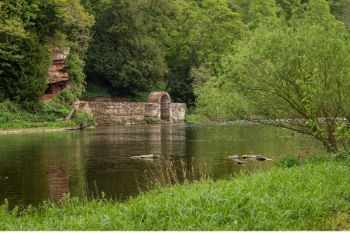 River Eden in Cumbria 1