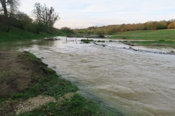 River Witham 1