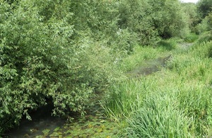 River generic