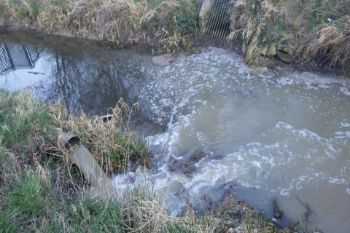 River pollution 1