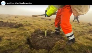 SCOTTISH WATER NET ZERO WOODLAND CREATION