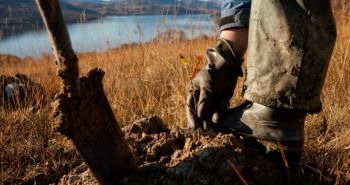 SCOTTISH WATER Tree Planting