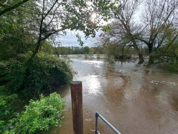 SOUTHERN WATER RIVER TEST TURBIDITY testwood2