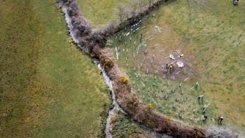 SOUTH WEST WATER UPSTREAM THINKING TREE PLANTING