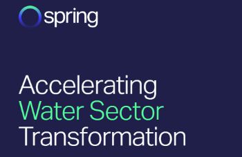 SPRING LOGO WEBSITE BANNER