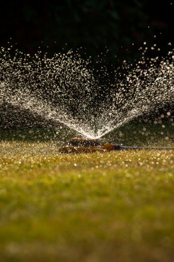 SPRINKLER GRASS 1