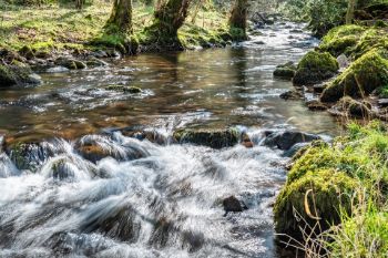 STREAM 1