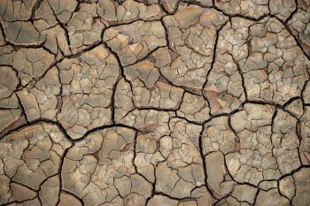 SUEZ dry earth image Copy