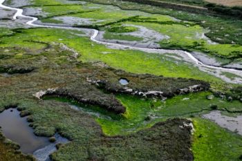 Saltmarsh restoration in Suffolk maintenance dredging harbour approach