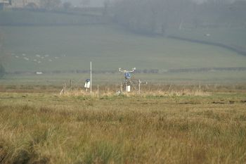 Somerset levels Tealham moor 1 - Adrian and Janet Quantock wikimedia