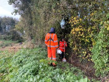 THOMSON ENVIRONMENTAL CONSULTANTS macroinvertebrate sampling