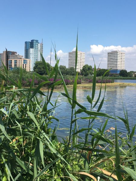 TW Woodberry Wetlands 1