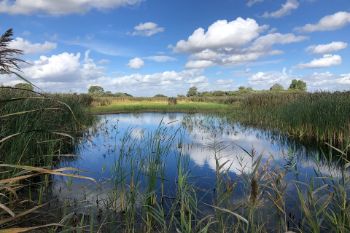 The Great Fen 1