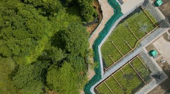 UNITED UTILITIES REEDBED SYSTEM CHORLEY BROOK