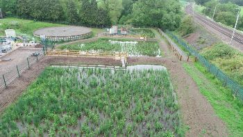 UNITED UTILITIES Southwaite wetlands 1