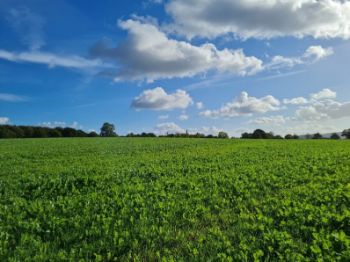UU cover-crops-cheshire-trial 1 1