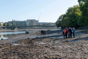 WET WIPE ISLAND WET WIPE REMOVAL BY VOLUNTEERS