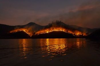 WILDFIRE EVENING 