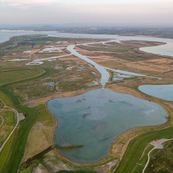 WWT_steart_marshes_1.jpg