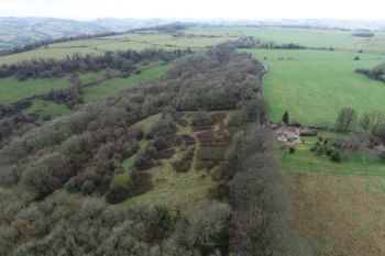 Wessex - Limestone grasslands Charmy Down 1