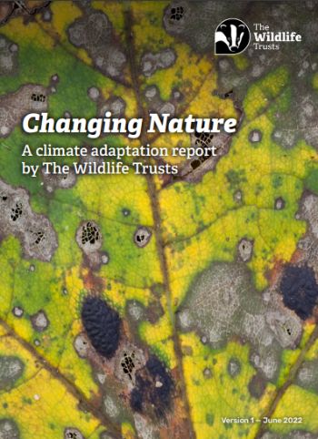 Wildlife Trusts Changing Nature report June 2022