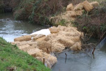 YORKSHIRE WATER Mother drain 1