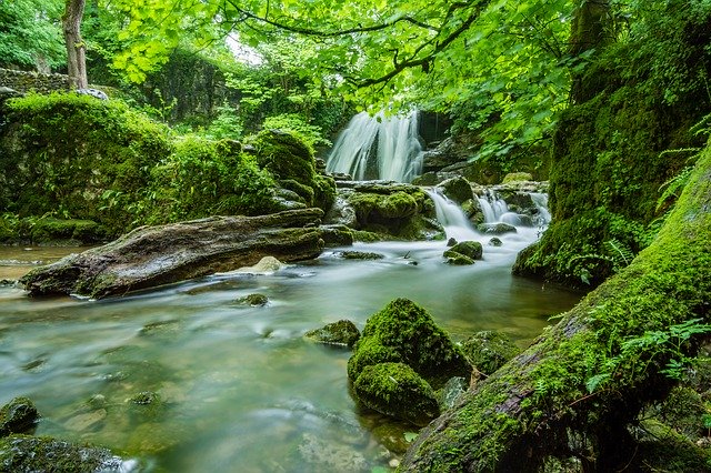 YORKS RIVER