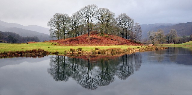 england trees lakes