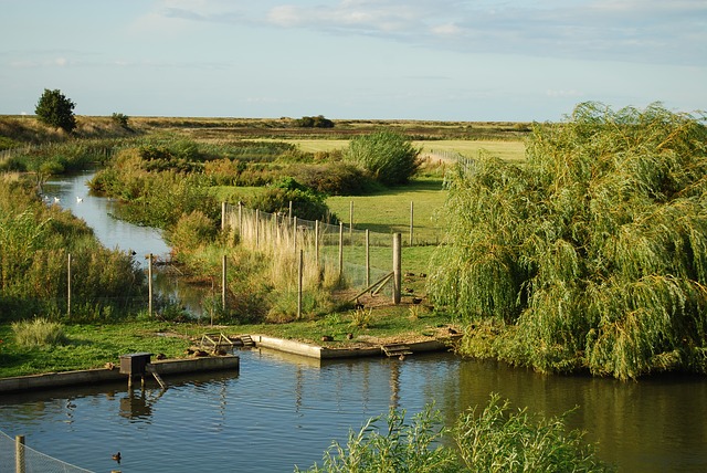 english landscape