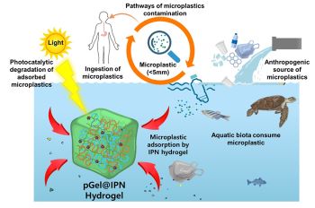 pGelIPN hydrogel