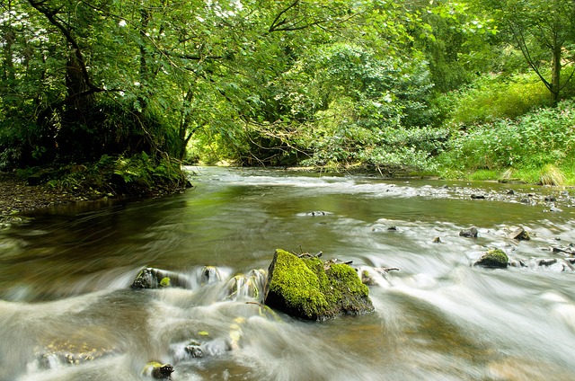river-71639 640