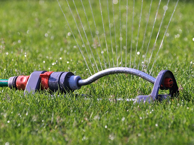 sprinkler-2366751 640